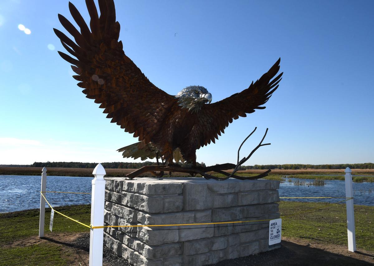 'The eagle has landed' Montezuma refuge celebrates 40year
