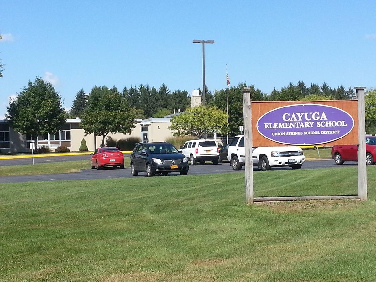 Cayuga Elementary