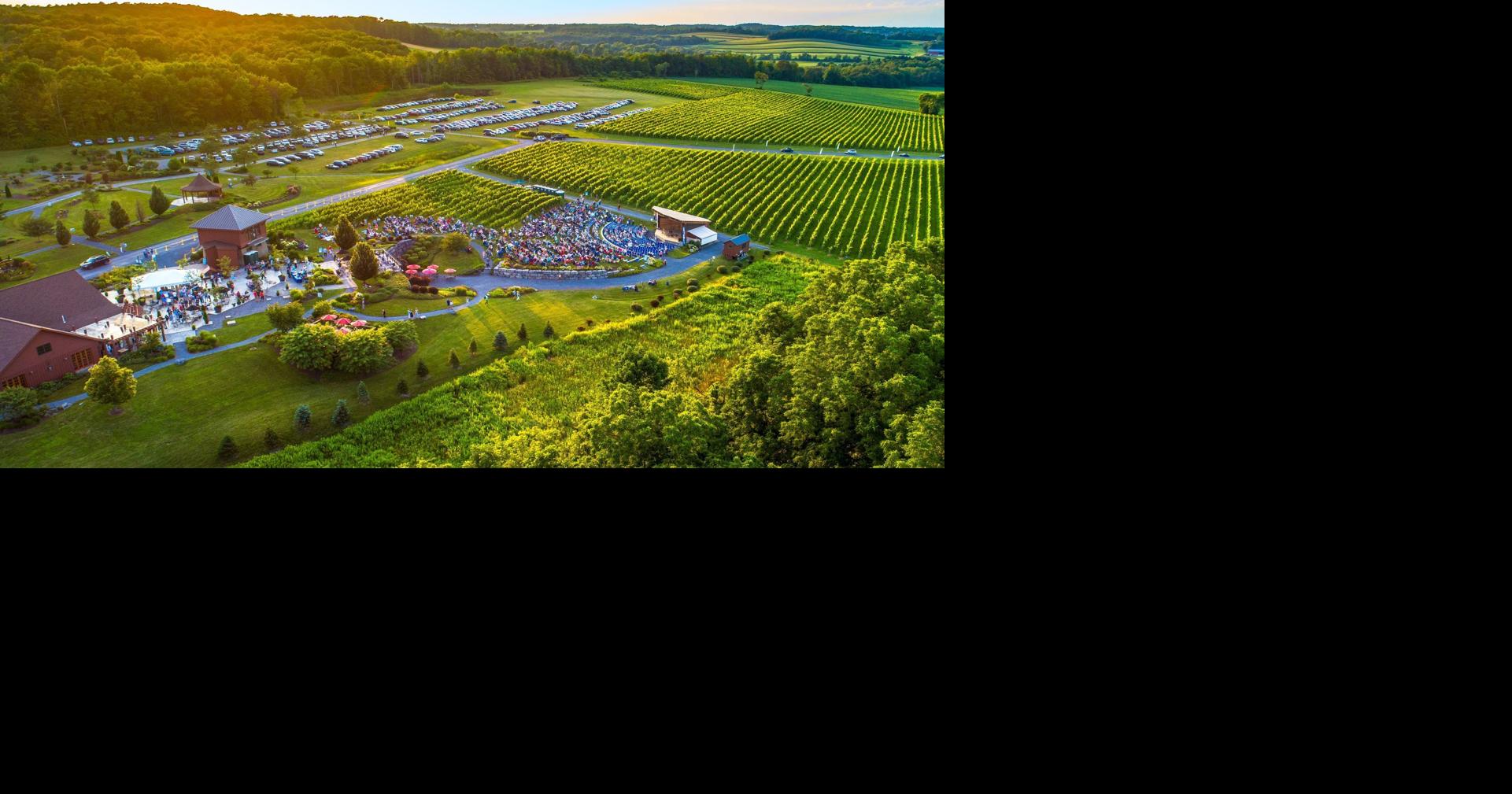 With Skaneateles winery for sale, music festival mulls future