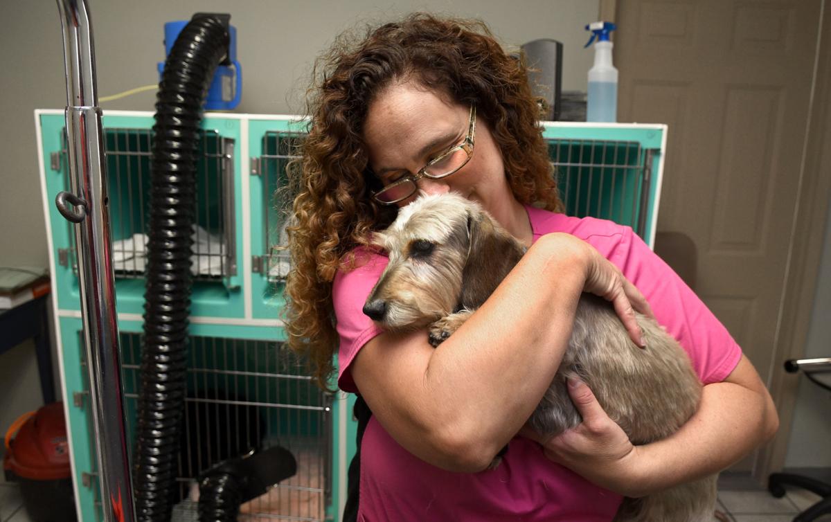 She calls it Serendipity New dog grooming business opens in Auburn