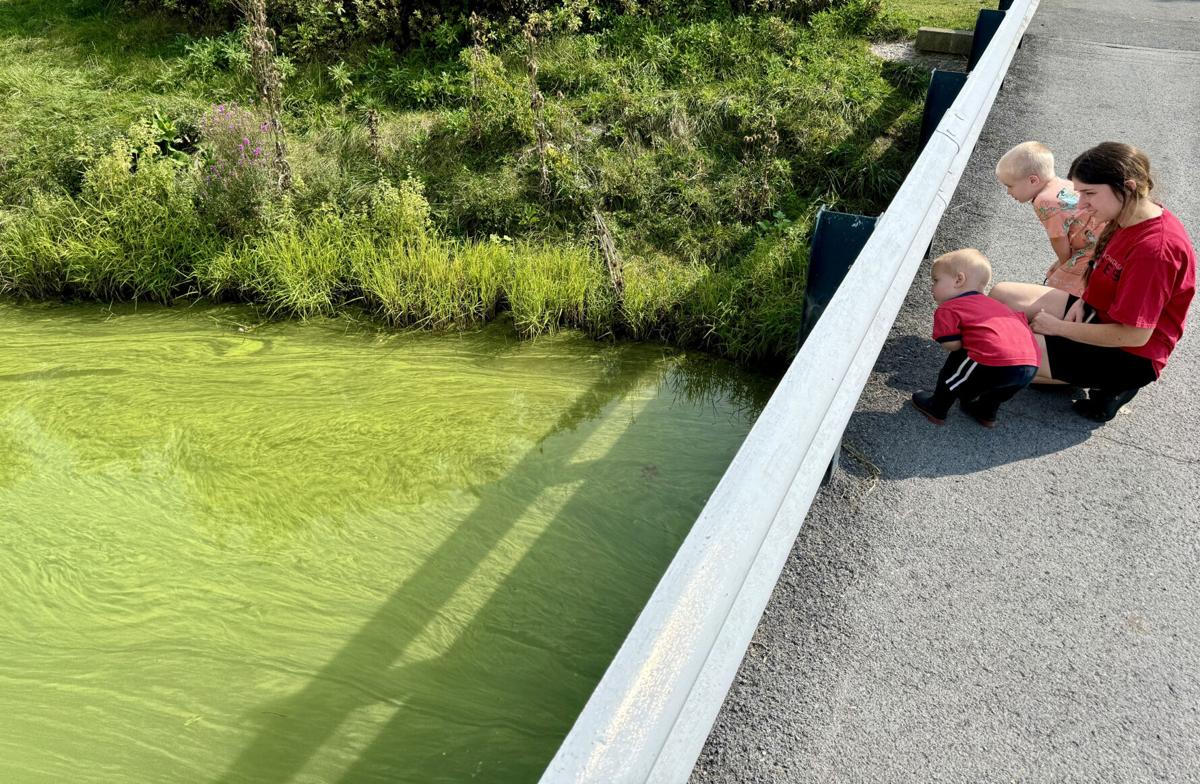 Algal Bloom Owasco 1.JPG