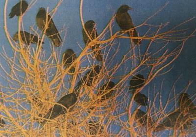 On This Day In History For Jan 27 2019 Auburn Crow Hunt Protest