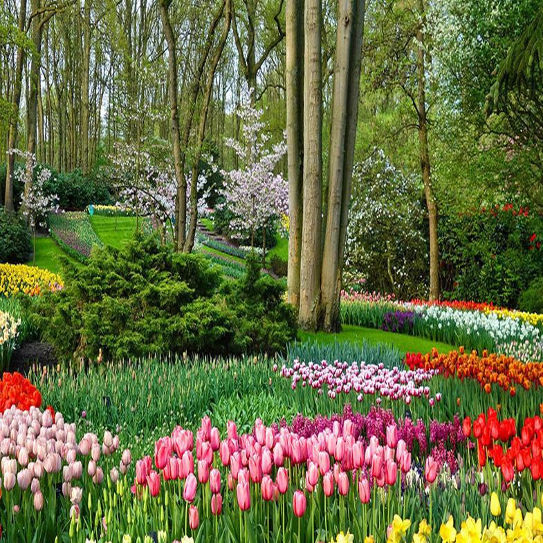 Cosentino A Virtual Visit To Holland S Keukenhof Gardens Lifestyles Auburnpub Com Friesland costumes c1860 for pella tulip festival 2016. keukenhof gardens