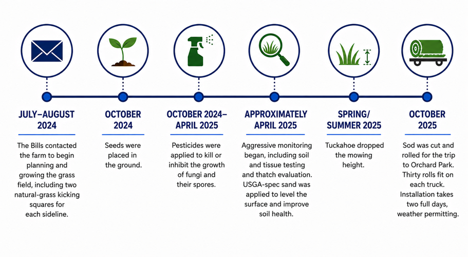 Timeline graphic: Grass at stadium