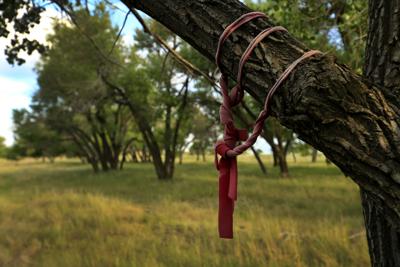 Northern Cheyenne woman promotes healing, justice in Sand Creek reckoning events