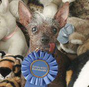 2006 winner: Archie