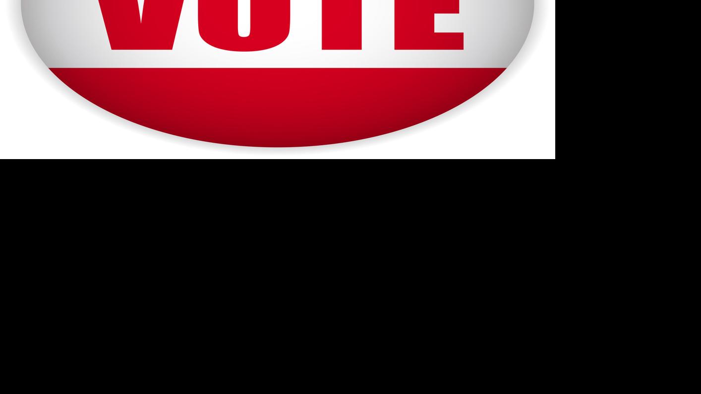Cayuga Countyarea village election roundup Voters head to polls on