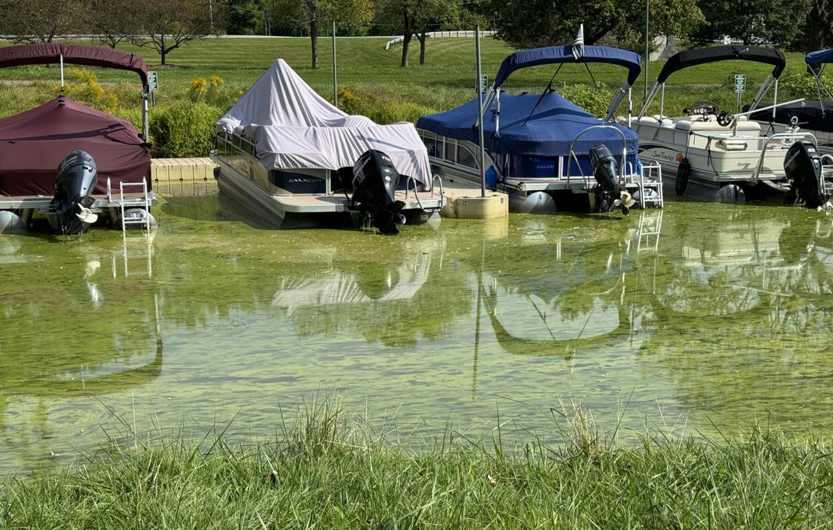 Algal Bloom Owasco 3.JPG