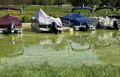 Algal Bloom Owasco 3.JPG