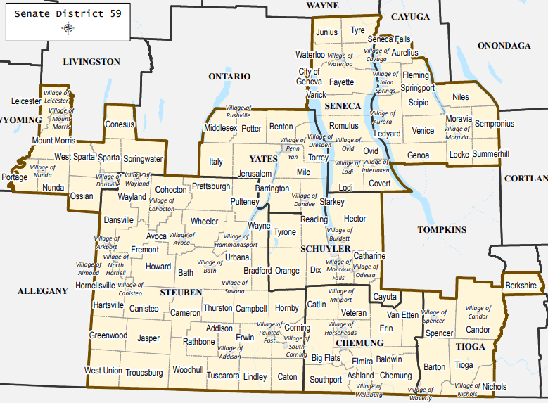 How NY lawmakers split Cayuga County into six legislative districts