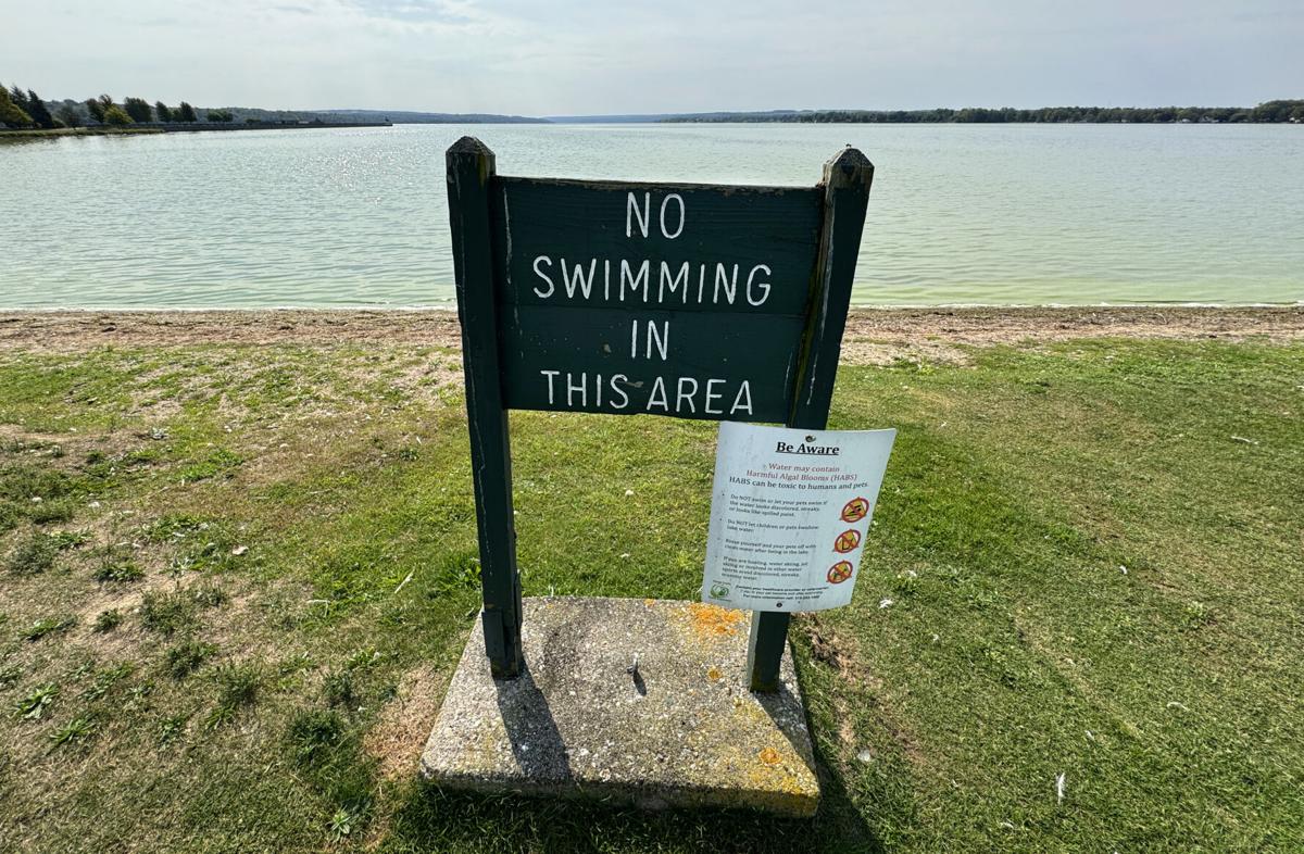 Algal Bloom Owasco 4.JPG