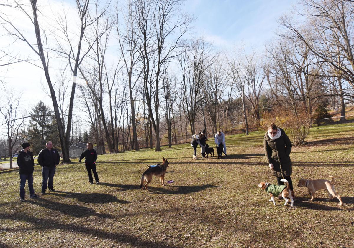 Lakeside Dog Park's soft opening has tails wagging Local News
