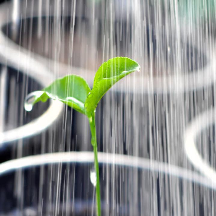 Eco Talk: How water quality affects plants | Lifestyles ...