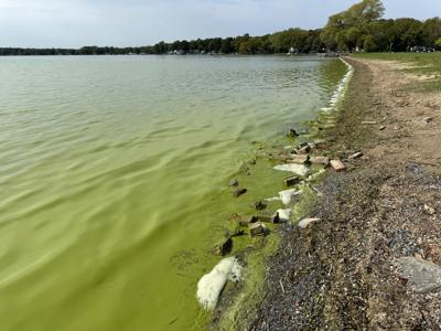 Algal Bloom Owasco 5.JPG
