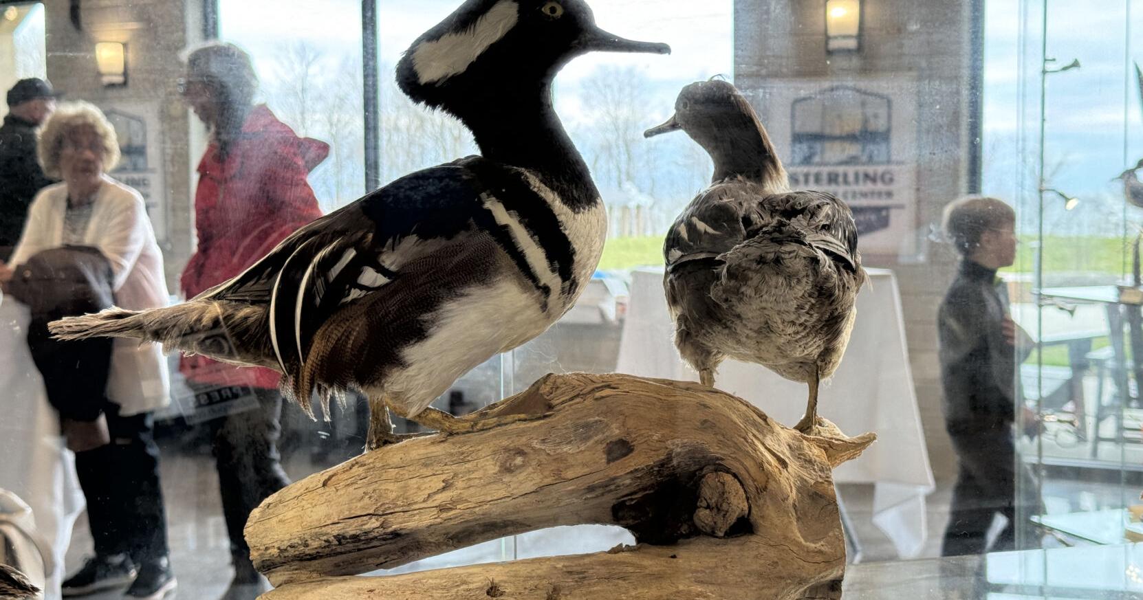 Sterling nature fest to celebrate new interpretive center - Vimarsana News