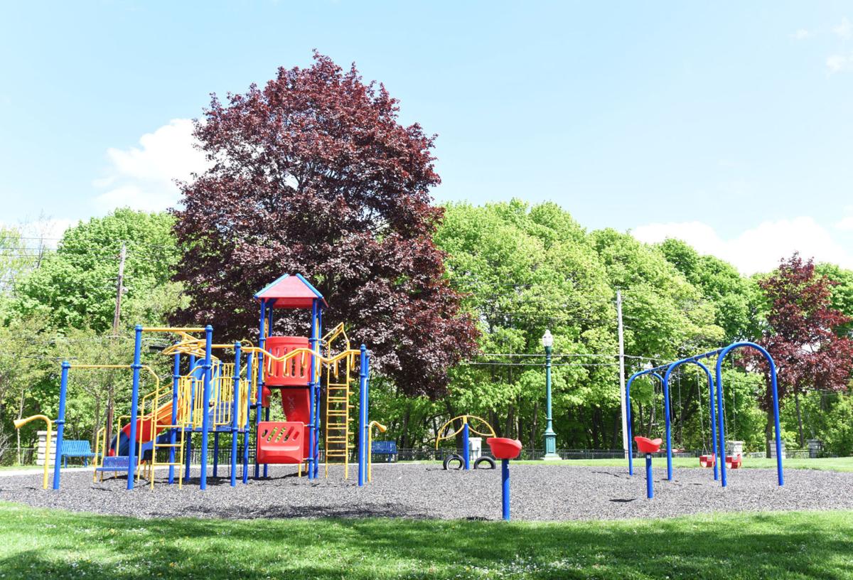 Auburn, SUNY ESF complete longterm master plan for city parks, playgrounds