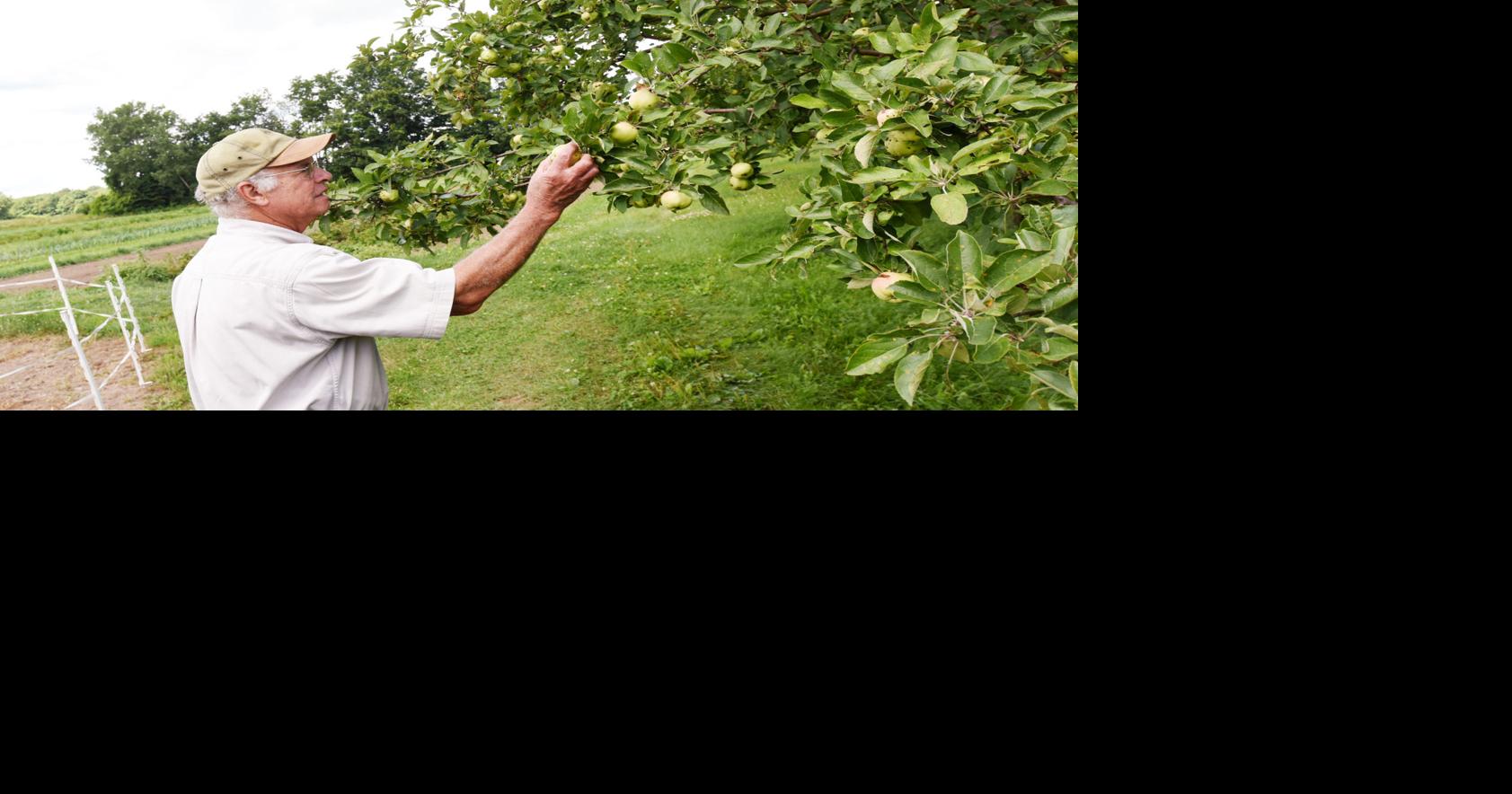 Elderberry Farm owners donate Sennett farm acreage to Finger Lakes Land ...