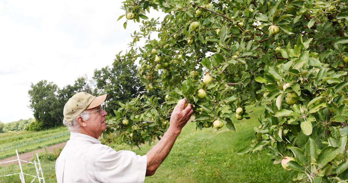 Sentor Farm Elderberry Farm owners donate Sennett farm acreage to Finger Lakes Land ...