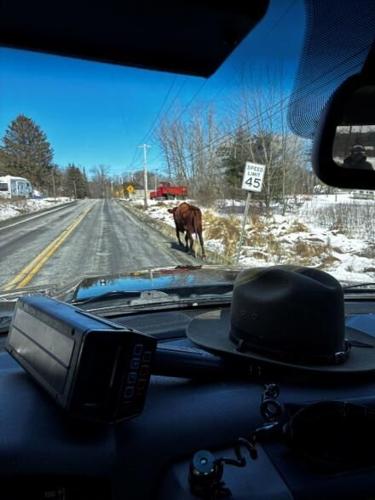 Environmental Conservation Police on Patrol