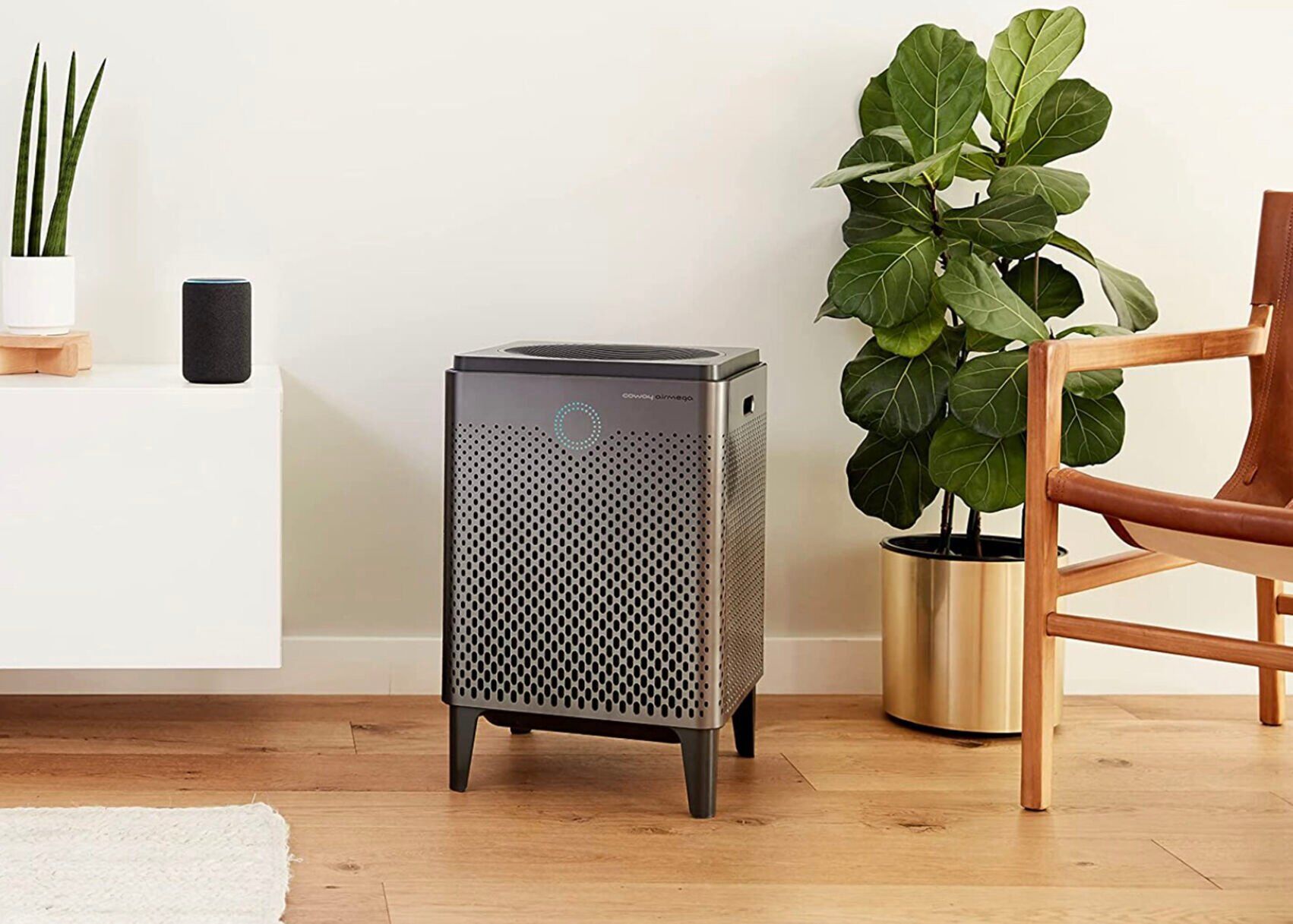 Cnet air purifiers discount