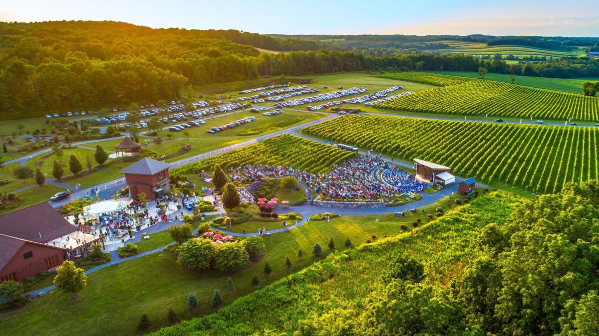 Festival group taking applications for musician scholarship