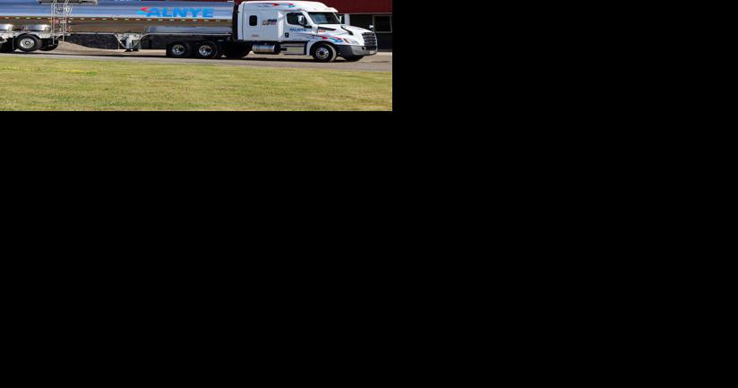 Alnye, Moravia transportation company, gets top rating - Vimarsana News