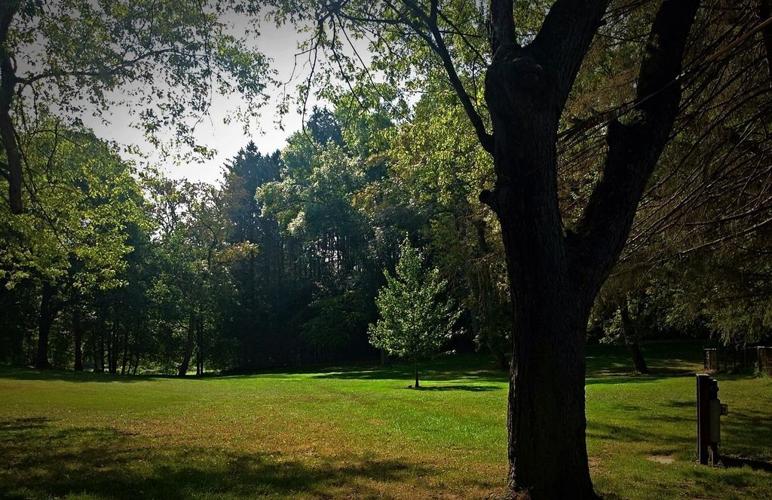 Marcellus Park changes over time, continues to improve as it approaches