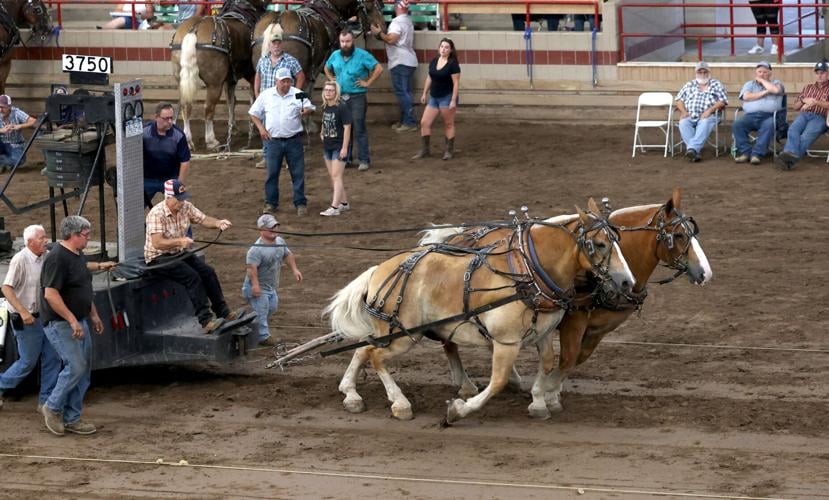 State Fair 6 .JPG