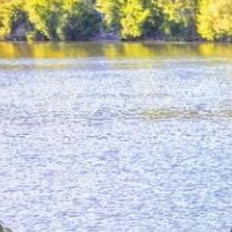 Get The Best Bass Fishing Experience In New York State Local Sports Auburnpub Com