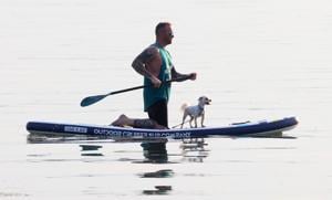 Cayuga County Health Department: Summer safety reminders