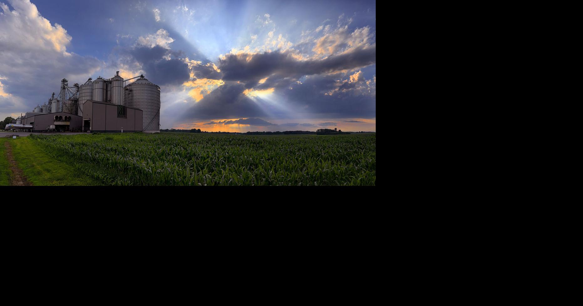 Gallery: Summer scenery from the Cayuga County countryside