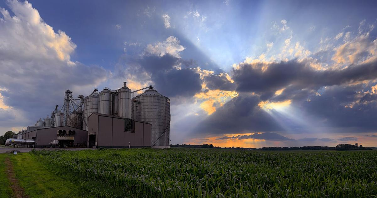 Gallery: Summer scenery from the Cayuga County countryside