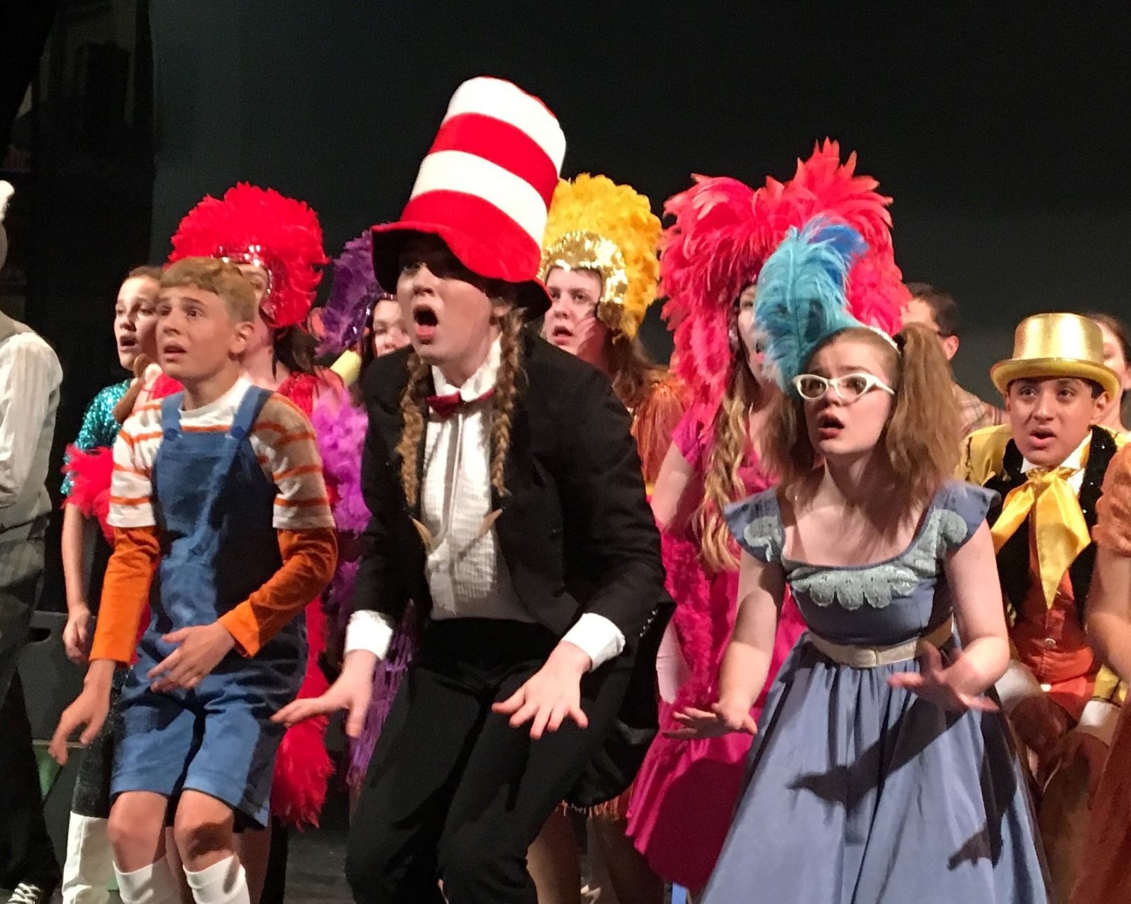 Seussical The Musical Jr Cast / Spotlight Musical Theatre Presenting ...