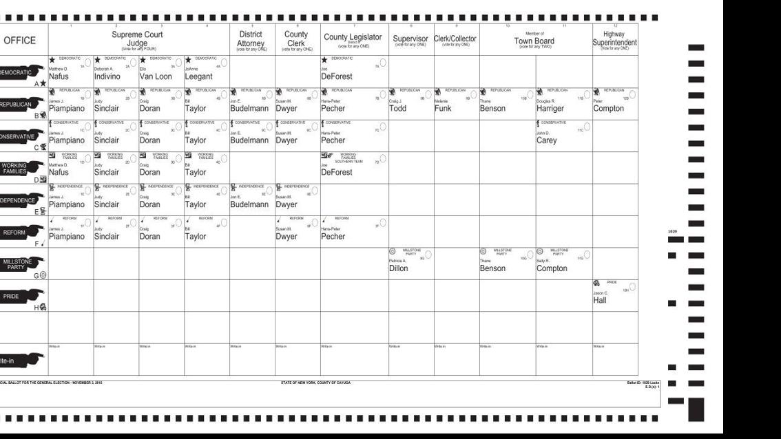 Election Day is Tuesday See what's on Cayuga Countyarea ballots Elections