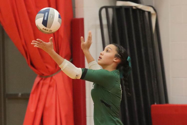 Weedsport volleyball vs. Hamilton (6).jpg