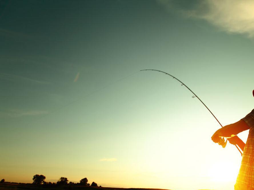 Bass Pro Shops In Aurelius To Host Free Fishing Events Entertainment Auburnpub Com