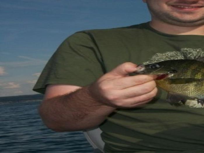 Brewer Fishing Hotspot Found In Cayuga Lake Local Sports Auburnpub Com