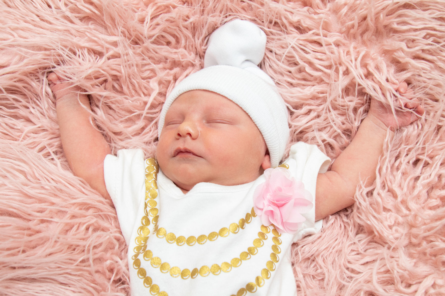 rosalie beanie baby