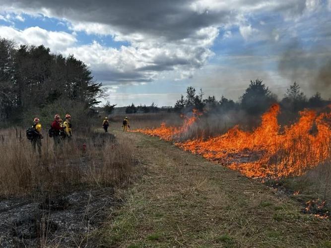 DEC Forest Rangers - Week in Review