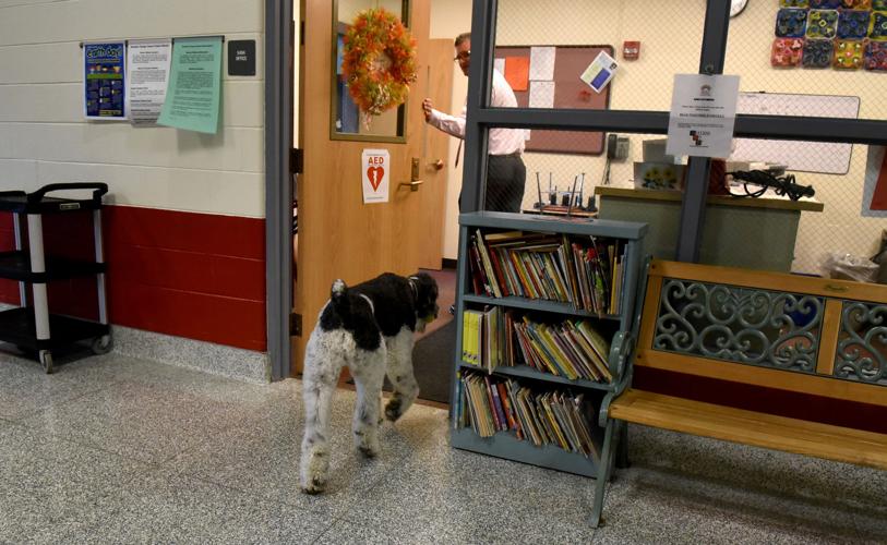 A helping paw Dogs help students relax, behave at Southern Cayuga schools