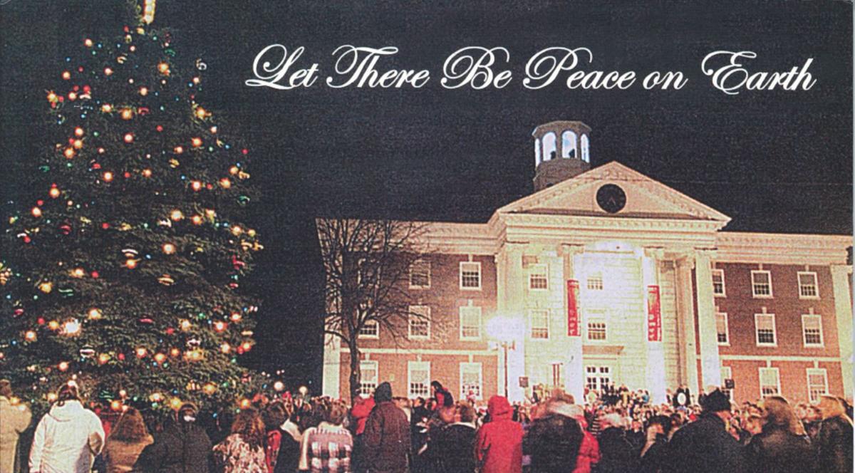 Christmas Tree Shop Henrietta Ny / Aliso Viejo Christmas Tree Shopping