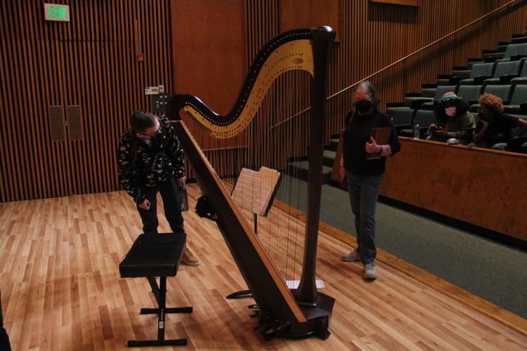 Harpist 1