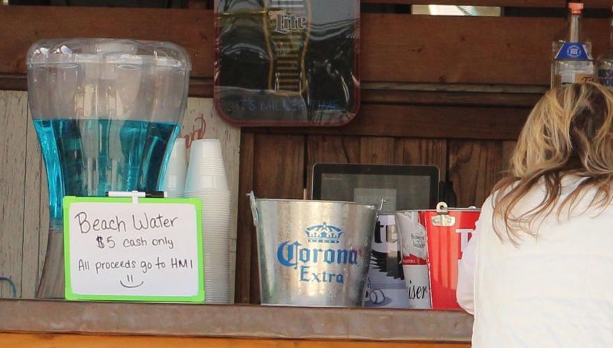 'A collaborative effort' Friends of HartMiller Island sets sail with