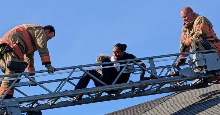 Police rescue stranded dog from rooftop | Local | avenuenews.com