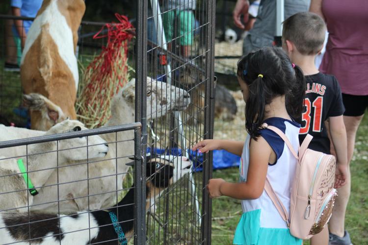 Rain or shine, Perry Hall Town Fair goes on Entertainment