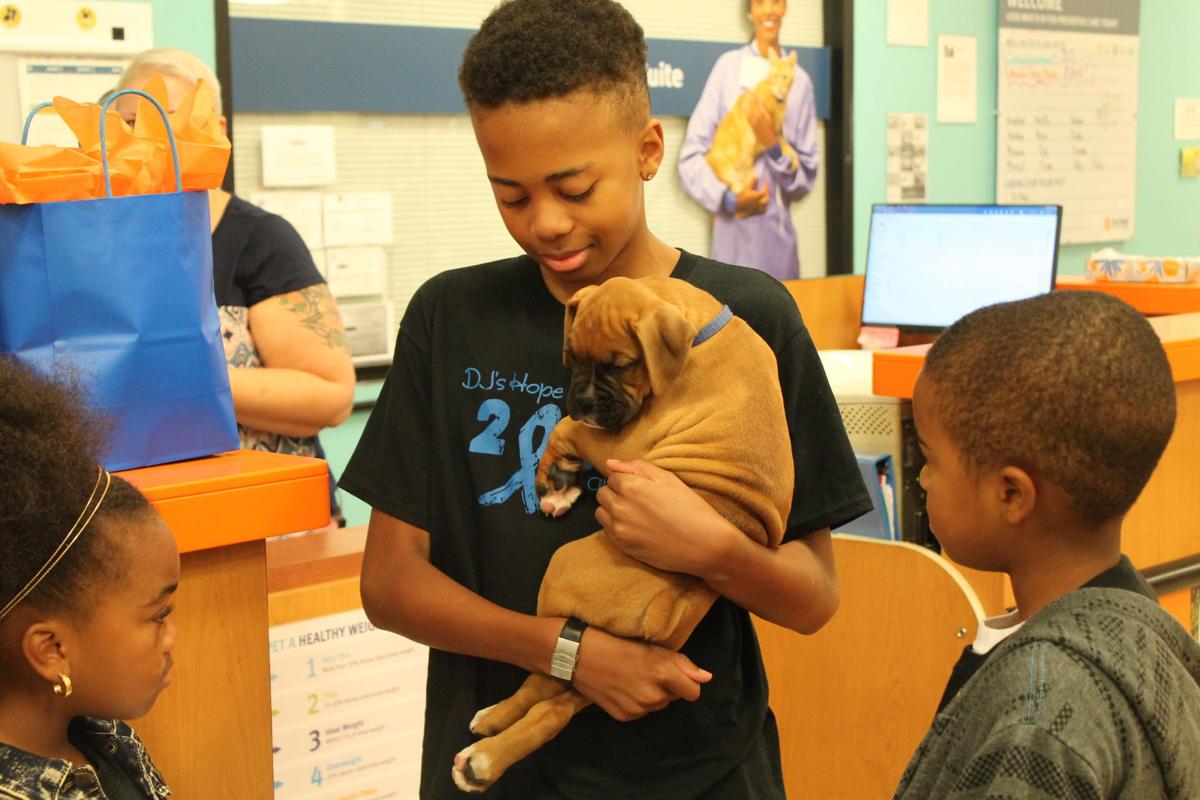 Local Vet Clinic Works With Make A Wish To Grant New Puppy Wish