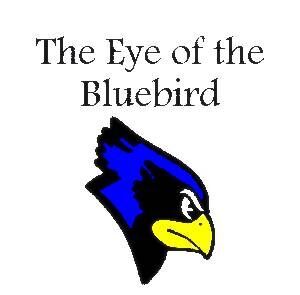 eye of the bluebird.jpg