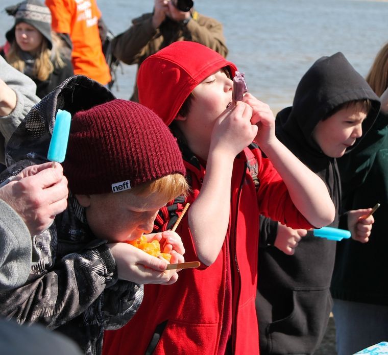 Plungers hit the water in eighth annual Popsicle Plunge Local