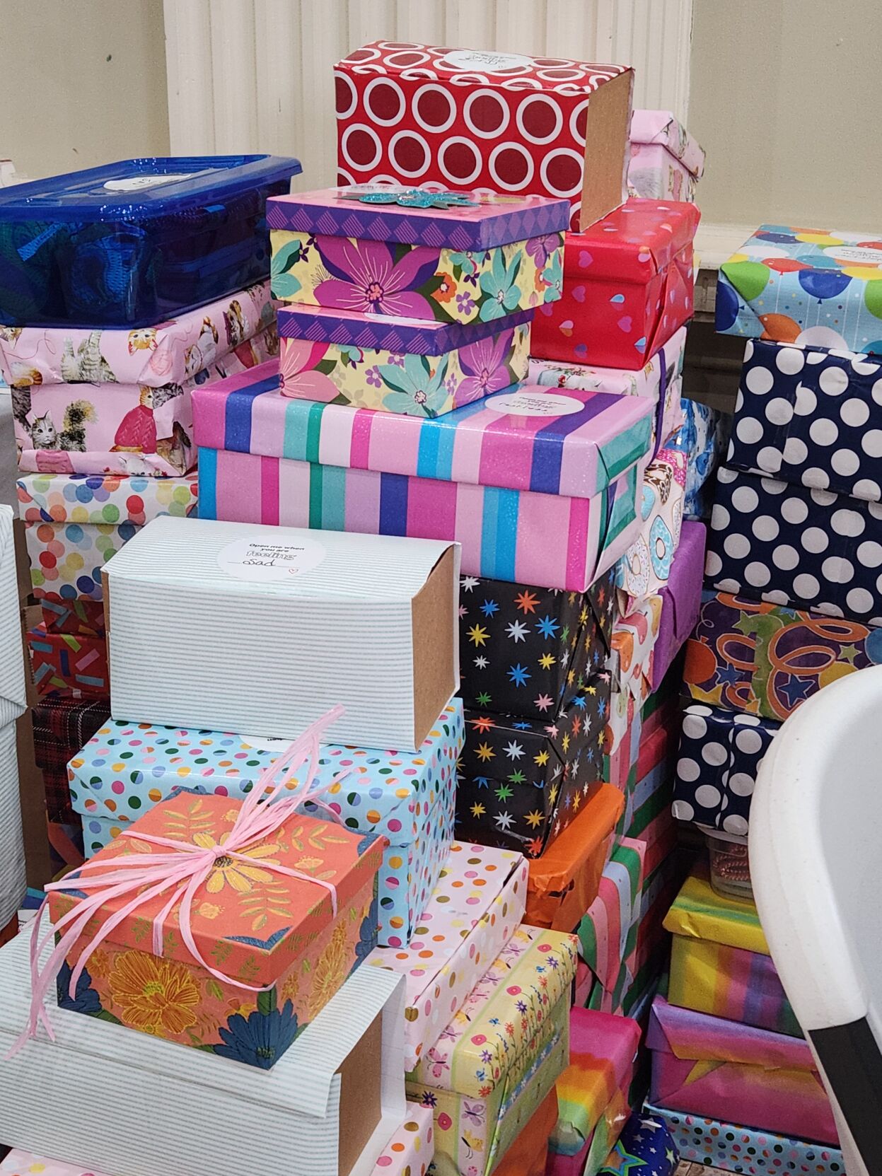 Feeling Boxes NCSDAR enjoys Second Annual DAR Day at Crossnore, presents donation ...