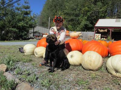 Halloween Happenings Community Averyjournal Com